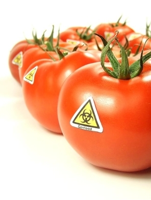 自制零热量番茄减肥果冻