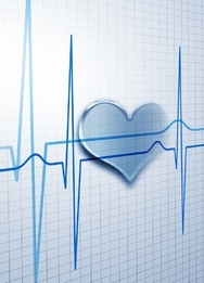 最适合瑜伽初学者的N个招式