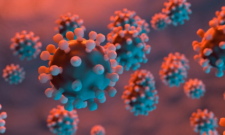 全球第二例！女子感染艾滋病8年后自愈，HIV不再是不治之症？