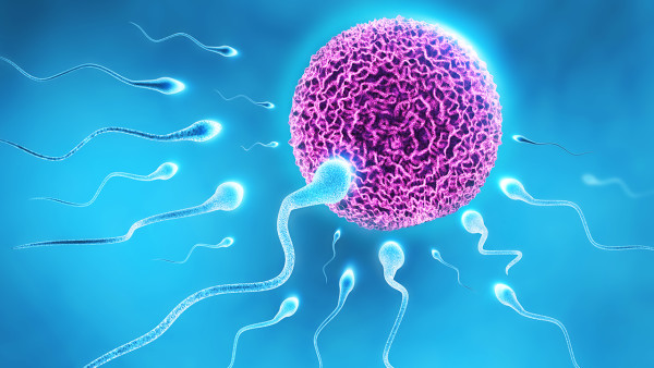 男人的爱液都有哪些成分？男人的爱液竟然有这么多作用