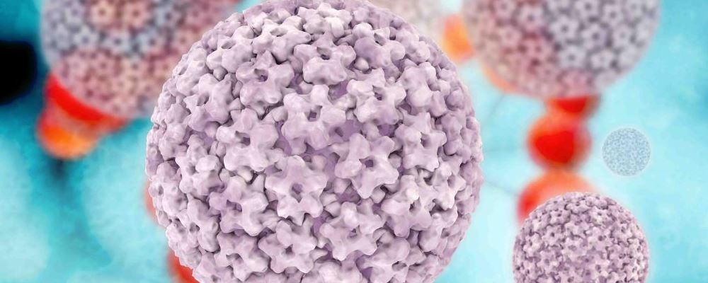 常见的性传播疾病——尖锐湿疣