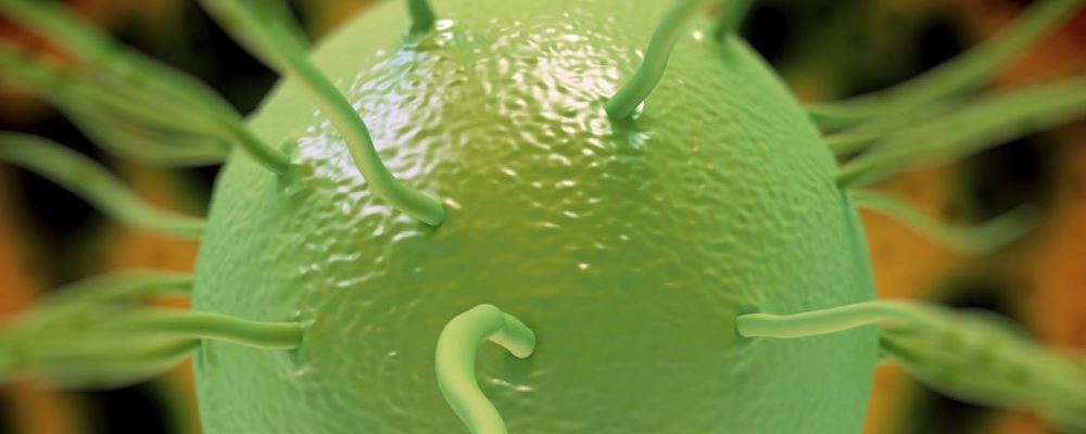 梅毒检测如何做到“面面俱到”