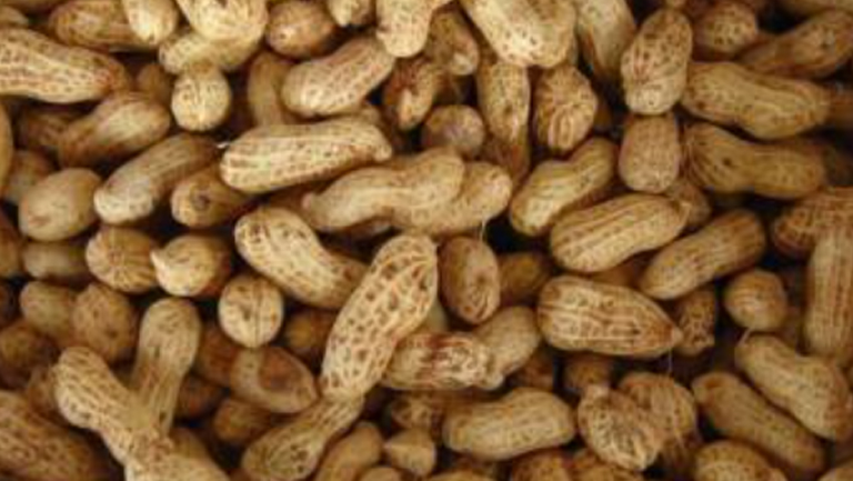 新鲜花生的功效与作用