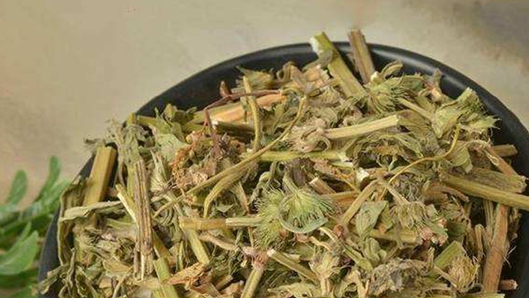 益母草汤的功效与作用