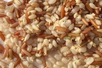 山苍油的功效与作用