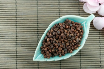 庵闾子的功效与作用