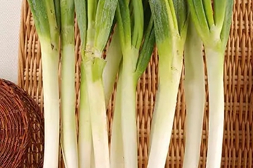老葱的功效与作用