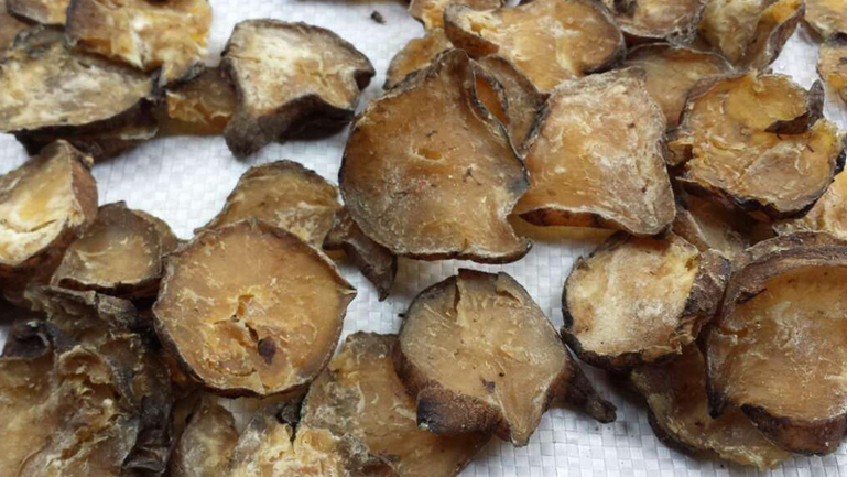 熟附子的功效与作用