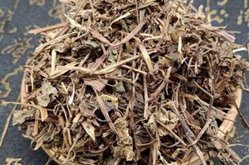 透骨风的功效与作用