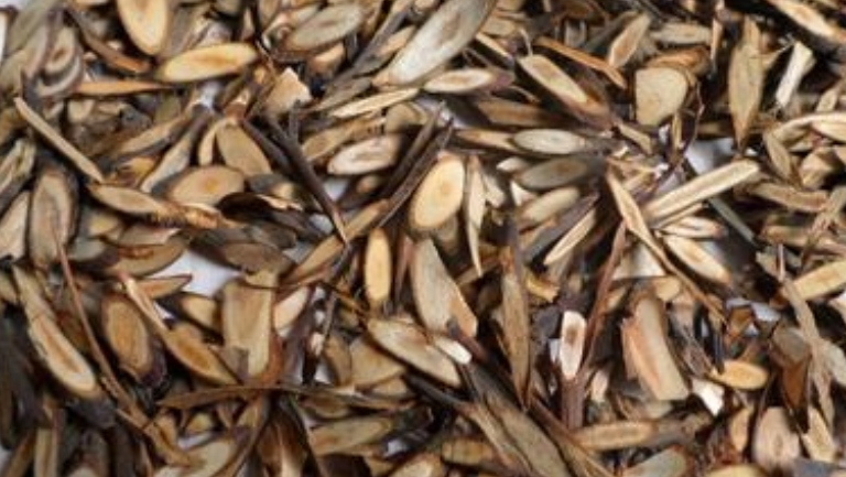 川桂枝的功效与作用