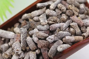 麻雀屎的功效与作用