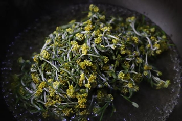 干鼠曲草的功效与作用