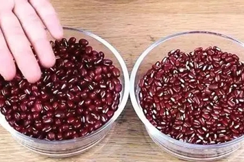 红腰豆和赤小豆同用的功效与作用