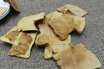 炒龟板的功效与作用