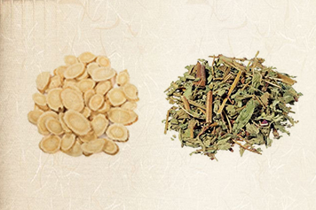 黄芪仙鹤草的功效与作用