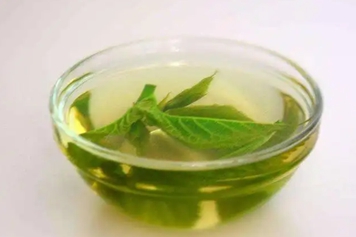 六角刺树叶泡水的功效与作用