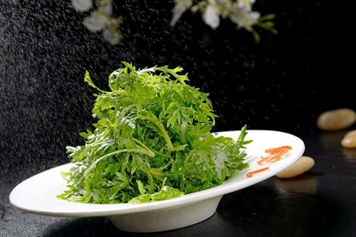 九芽生菜的功效与作用