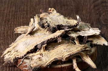 蒿本的功效与作用