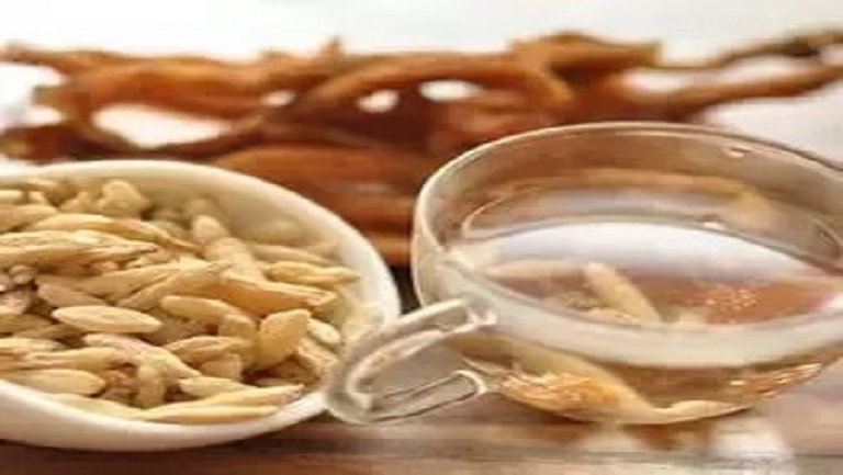 玄参和麦冬煮水的功效与作用