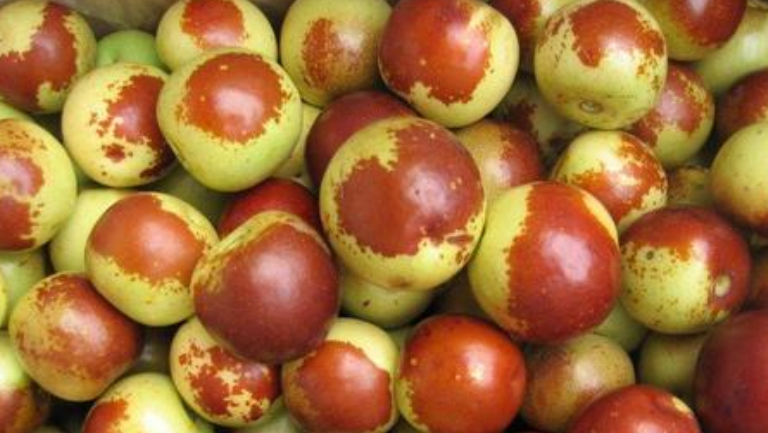 新鲜枣的功效与作用