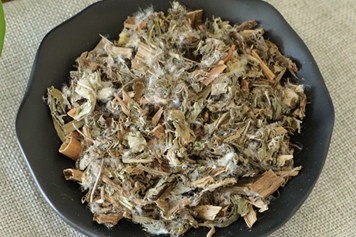 大蓟炭的功效与作用