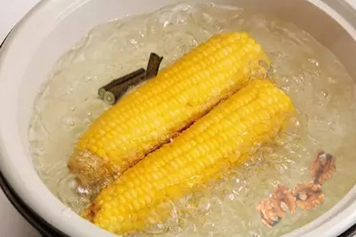 核桃玉米桑树枝煮水的功效与作用