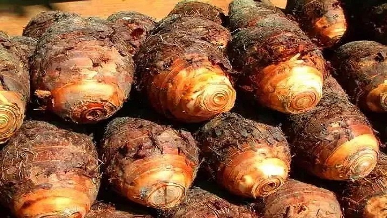 香芋头的功效与作用