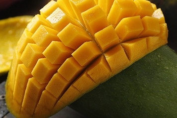 大青芒的功效与作用