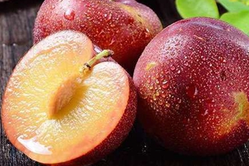 红布林水果的功效与作用
