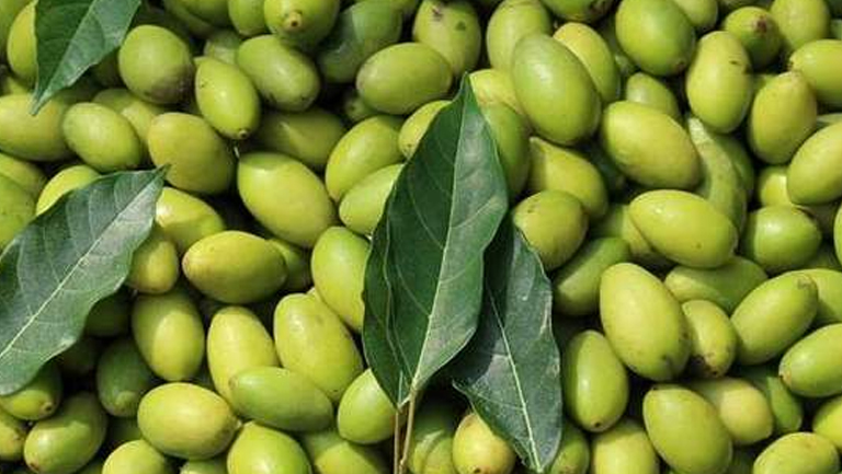 青榄的功效与作用