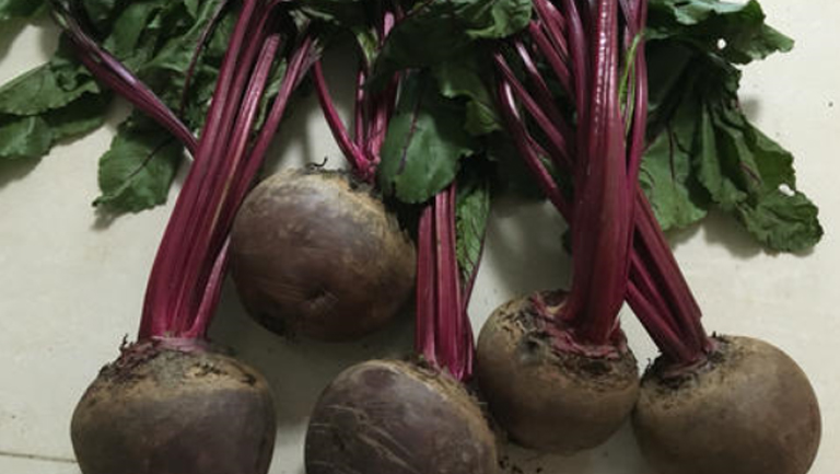 紫菜头榨汁的功效与作用