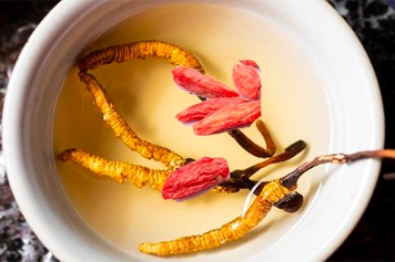 虫草和枸杞泡水喝的功效与作用