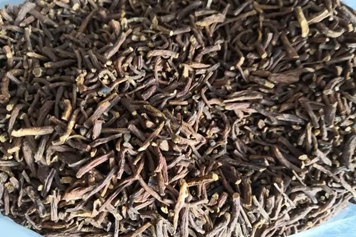 茶叶根的功效与作用