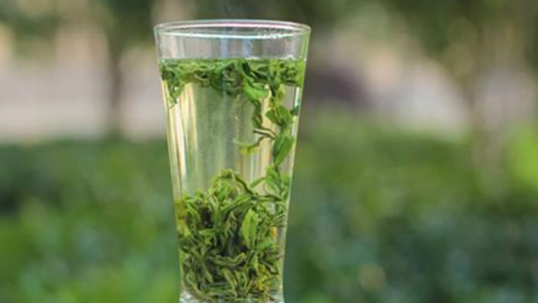 高山绿茶的功效与作用