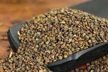 炒沙苑子的功效与作用