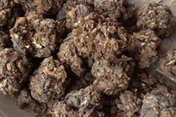 沙枣胶的功效与作用