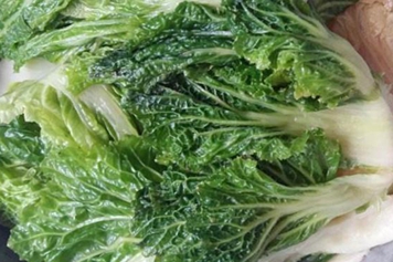 冻白菜的功效与作用