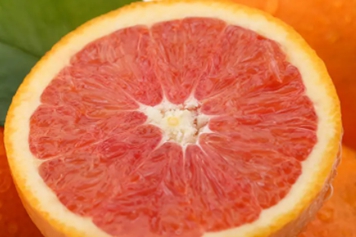 水果血橙的功效与作用
