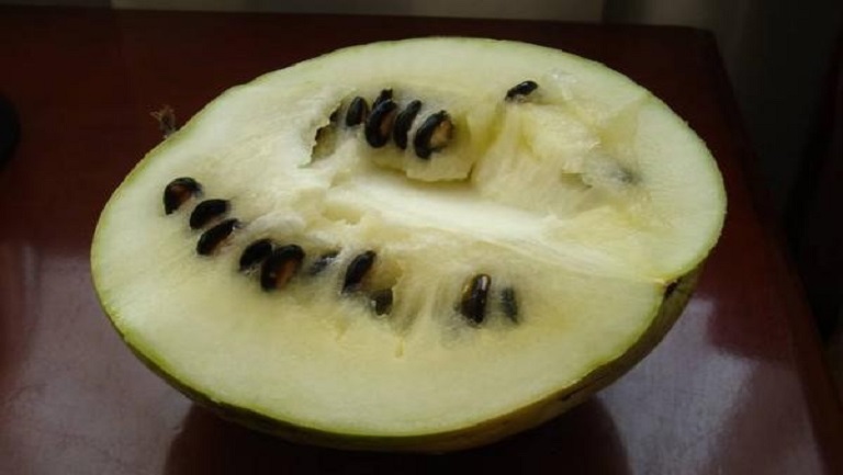 籽瓜的功效与作用