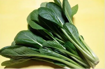 松菜的功效与作用