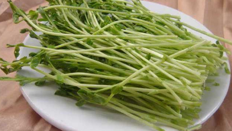 豌豆芽的功效与作用