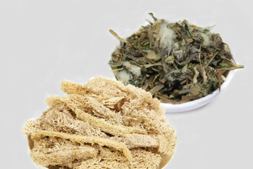 蒲公英加丝瓜络的功效与作用