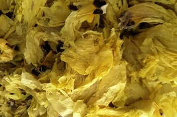 金花捷报的功效与作用