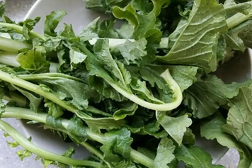 白萝卜缨子的功效与作用