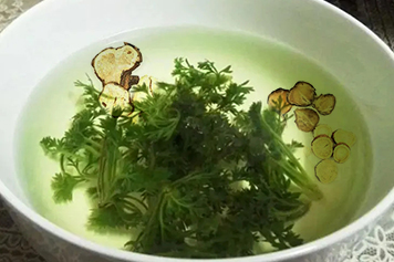 茵陈术附汤