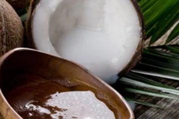 椰子汁肉的功效与作用