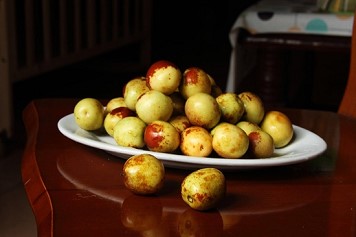 刺枣的功效与作用