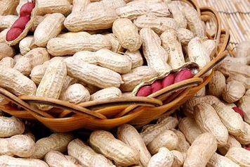 花生药用的功效与作用