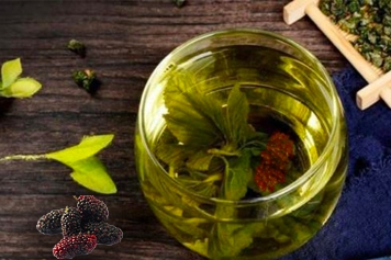 桑叶果子泡水喝的功效与作用