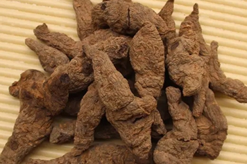怀生地的功效与作用